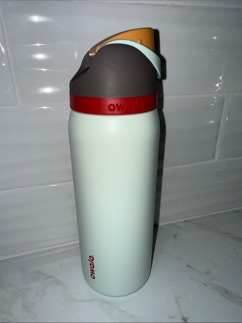 Owala FreeSip 32oz Water Boneyard colorway